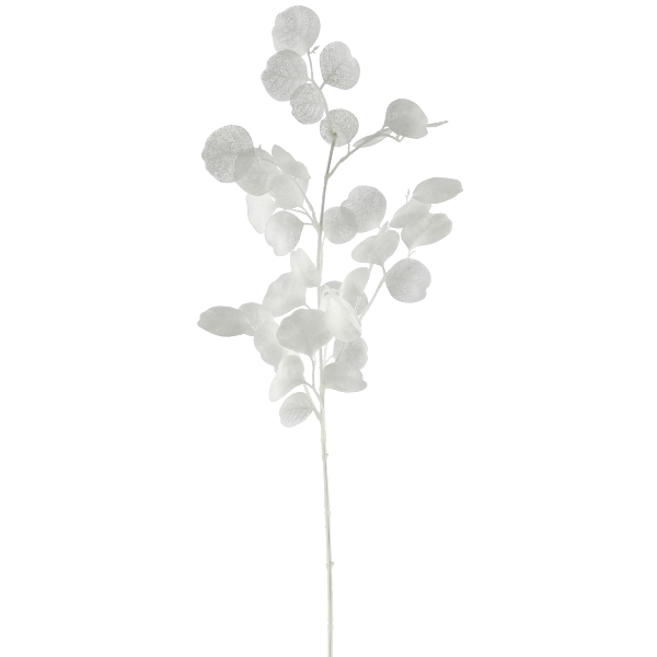 Roomio Eukalyptuszweig JARIK Höhe ca. 77 cm in Fb. weiß, zweig, blatt, eukalyptus, pflanze, zweigzweig