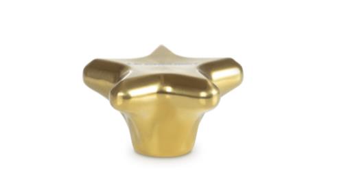 Le Creuset Deckelknopf Edelstahl GOLD STERN ca. 6x6 cm in Gold Stern Sig 6cm