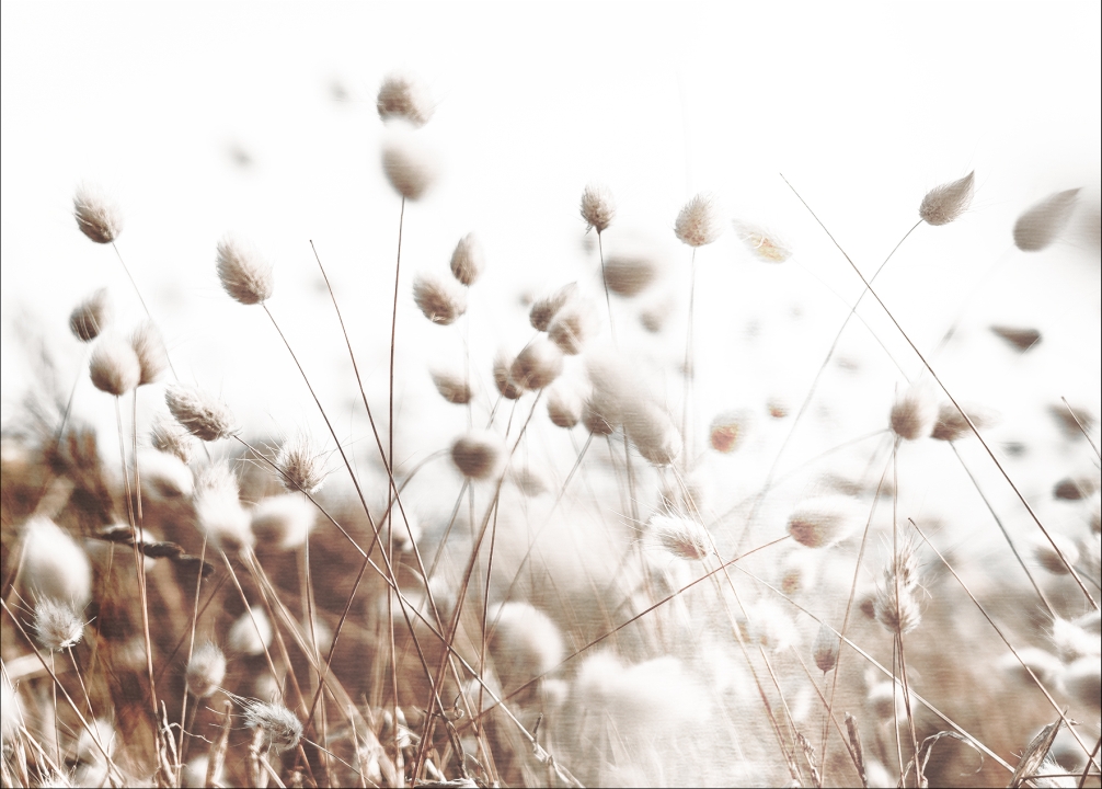 ProArt Alu-Art 100x70cm Field flowers V