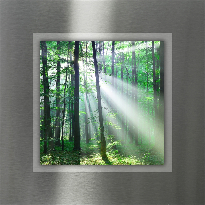 ProArt Double-Alu -Acryl bedruckt mit Aufsatz aus Acryl 50x50cm Mystic Forest II