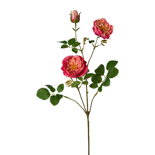 Gasper Rosenzweig, 73 cm, coralle in Farbe Koralle, Rosenzweig, Rosenkopf, Rosenblüte, Blattgrün, Girlandenzweig