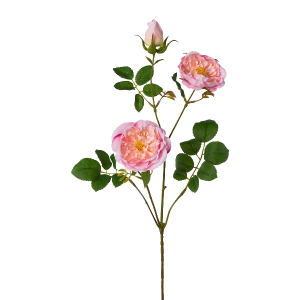 Gasper Rosenzweig, 73 cm, rosa in Farbe Rosa, Rosen, Rosenstrauß, Rosenzweig, Rosenblüten, Grünes Laub