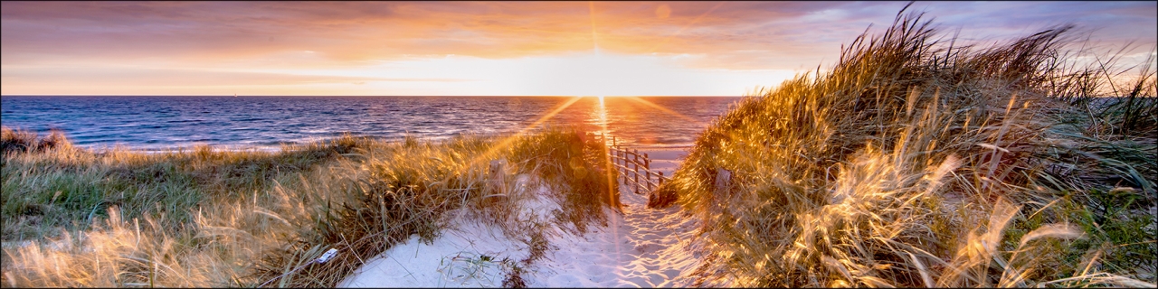PRO ART Alu-Art 200x50cm Sundown