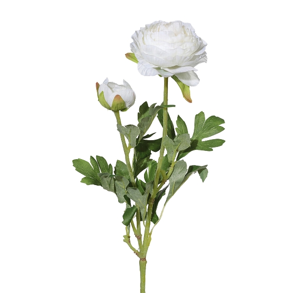 Ranunkel x 2 6/Poly 40cm weiß 209304-40 in Weiß, weiße Rose, Rosenblüte, Blütenzweig, Grünlaub, Gartenblume
