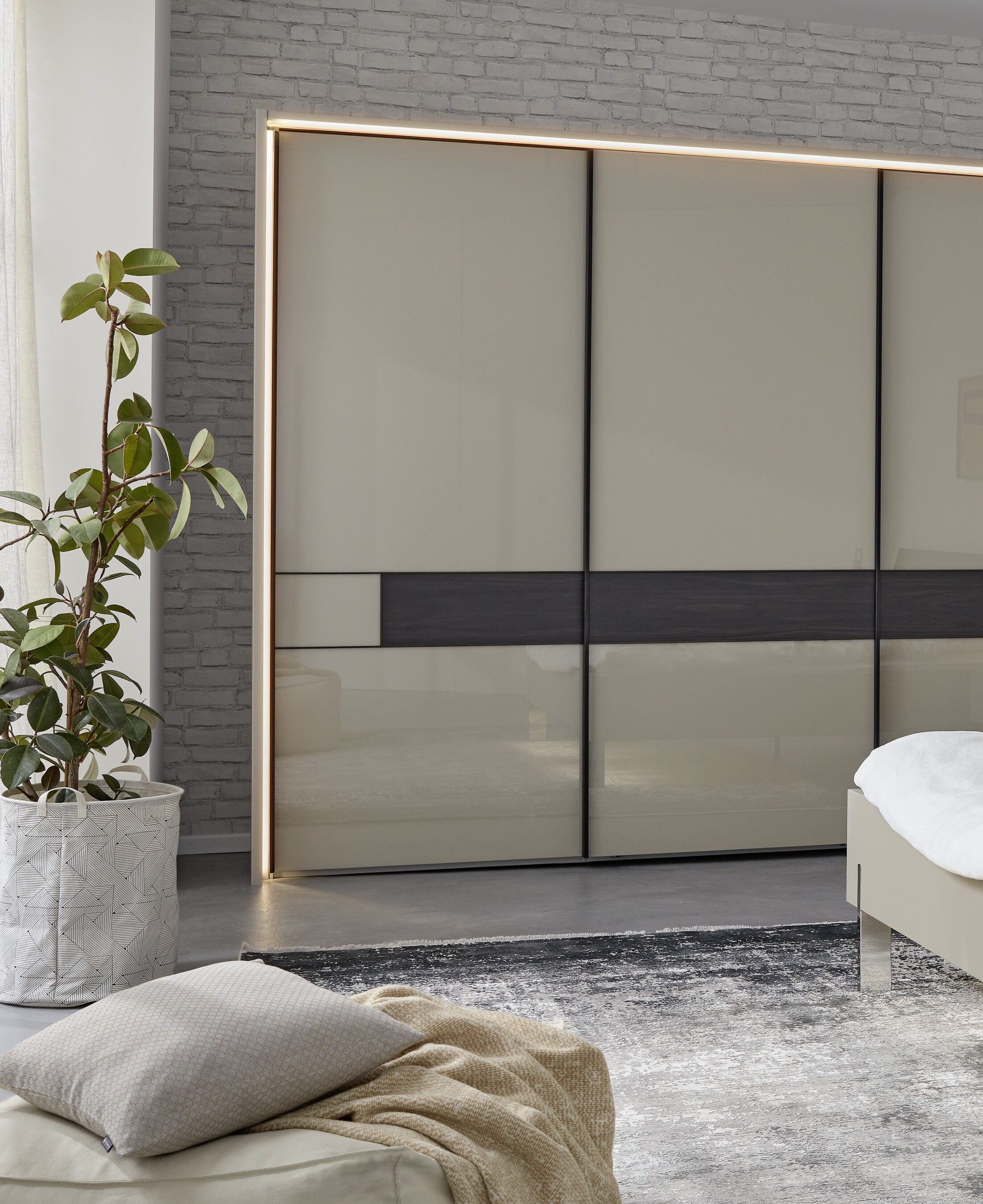 Wandschrank, Mobiliar, Garderobe, Pflanze, Innenarchitektur