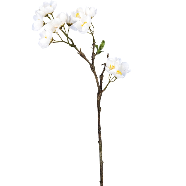 Gasper Apfelblütenzweig, 60cm, weiß in Farbe Weiß, Blumenzweig, Weiß, Kirschblüte, Ast, Blütenzweig