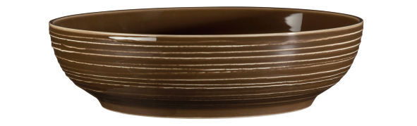 Seltmann Weiden Foodbowl 25cm Terra 3 Erdbraun Seltmann Weiden Foodbowl 25cm Terra 3 Erdbraun