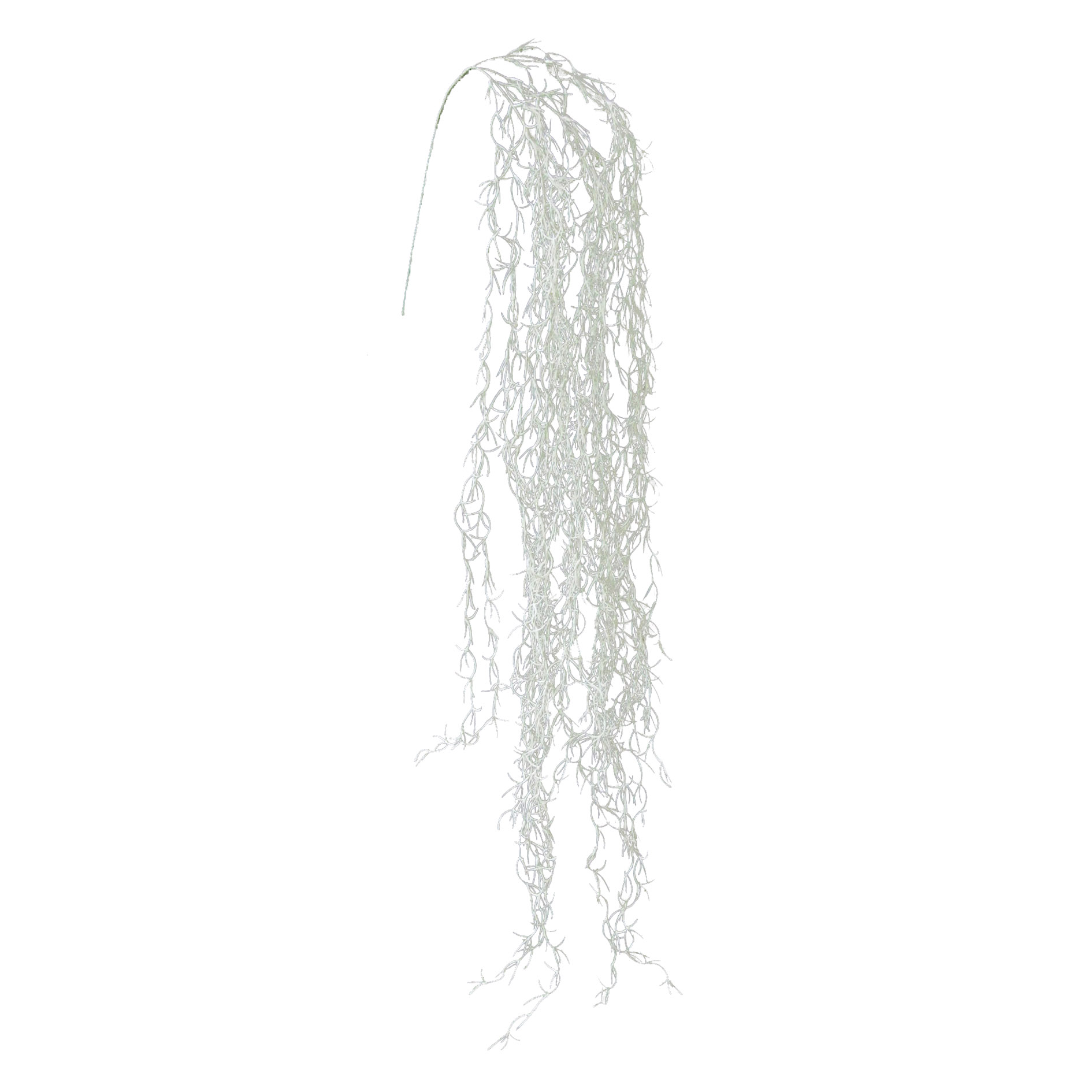 Tillandsienranke 1/Poly 146cm OLIMPIA in Grau Gasper Tillandsienranke OLIMPIA in Grau