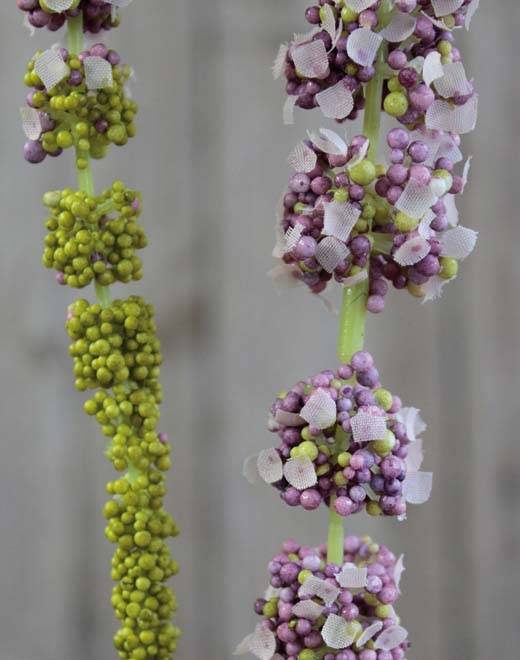  // Amaranthus Zweig // violett-grün // Höhe ca. 70 cm // Länge ca. 105 cm