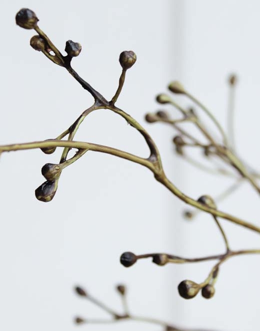  // Beerenzweig virburnum // natur // Höhe ca. 99 cm