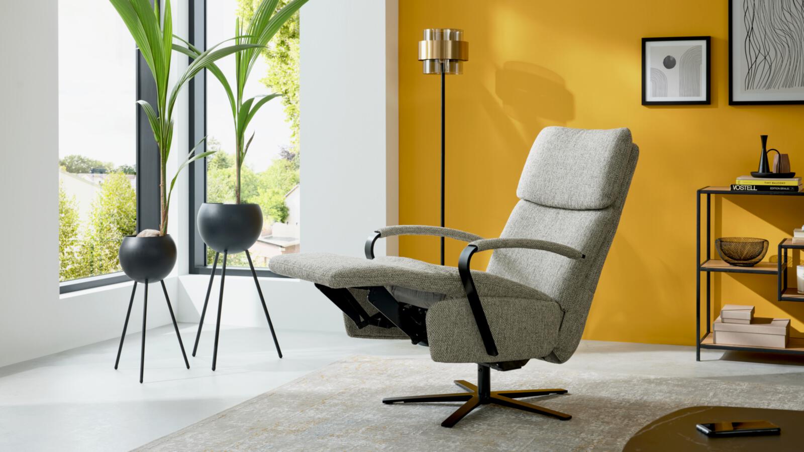 Interliving Relaxsessel IL 4565 in Stoff Jazz silber, Moebel, Stuhl, Drinnen, Pflanze