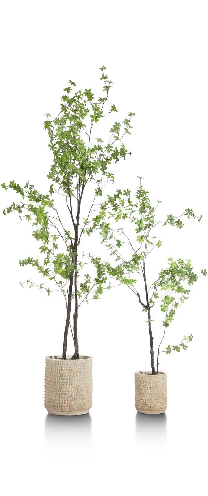 Coco Maison COCO MAISON Tropaeolum kunstpflanze h210cm 