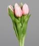 DPI Tulpen Bund rose 31 cm 87030-31 in 3 Blüten, 2 Knospen