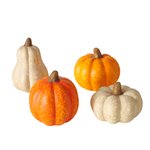 Boltze Dekoaufsteller Pumpky, 4 tlg. PUMPKIN in Keramik