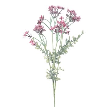 Gasper Alliumzweig in Farbe Fuchsia