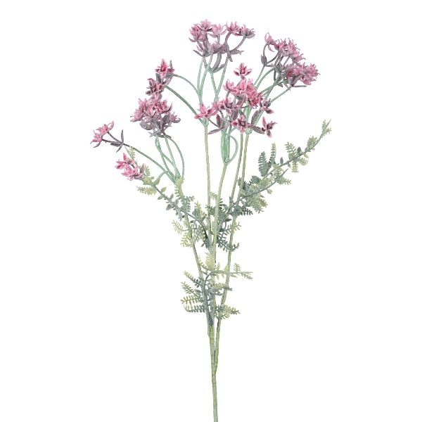 Alliumzweig 48cm fuchsia 3024126-05 in Rot, Blume, Trockenblume, Staude, Rosenrot, Blütenstängel