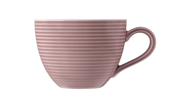 Seltmann Weiden Kaffeeobertasse 0,26 l mit Beat 3 Altrosa 