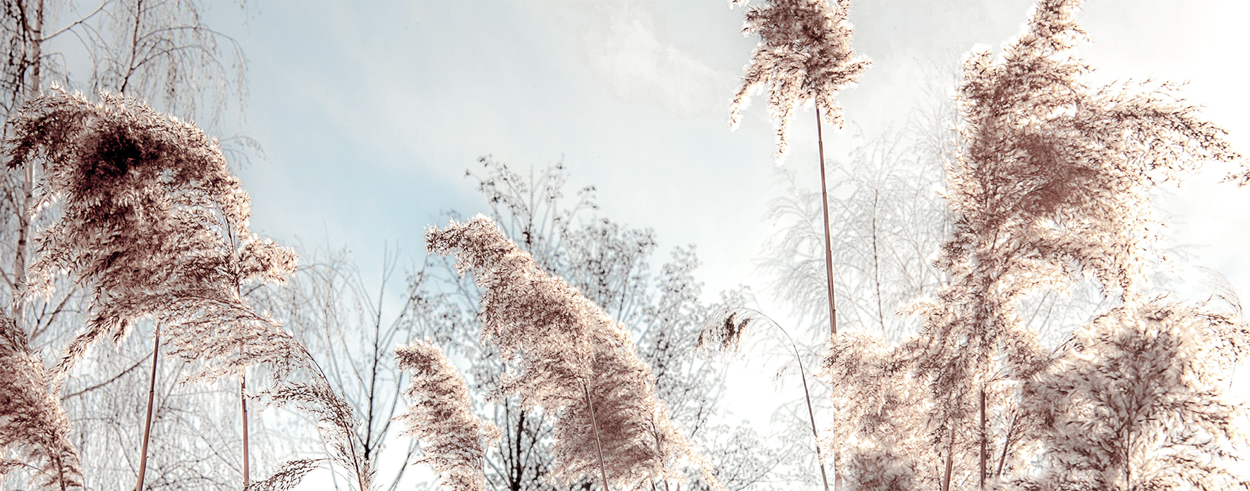 PRO ART Glas-Art 125x50cm In the breeze I