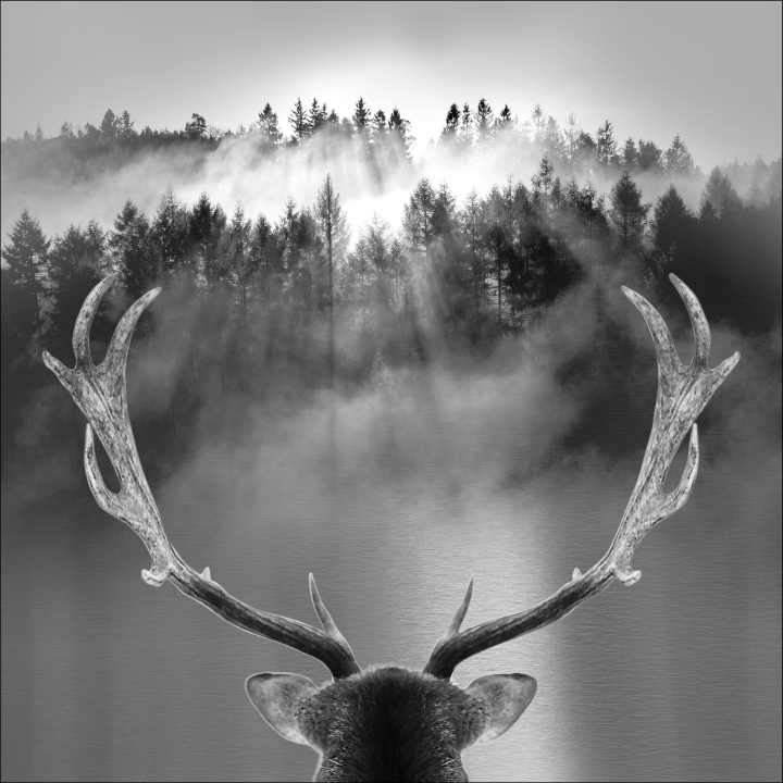 ProArt PRO ART Alu-Art Special Looking Deer ca. 98x98cm Mehrfarbig