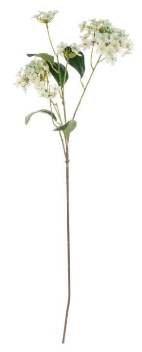 Viburnum 69cm