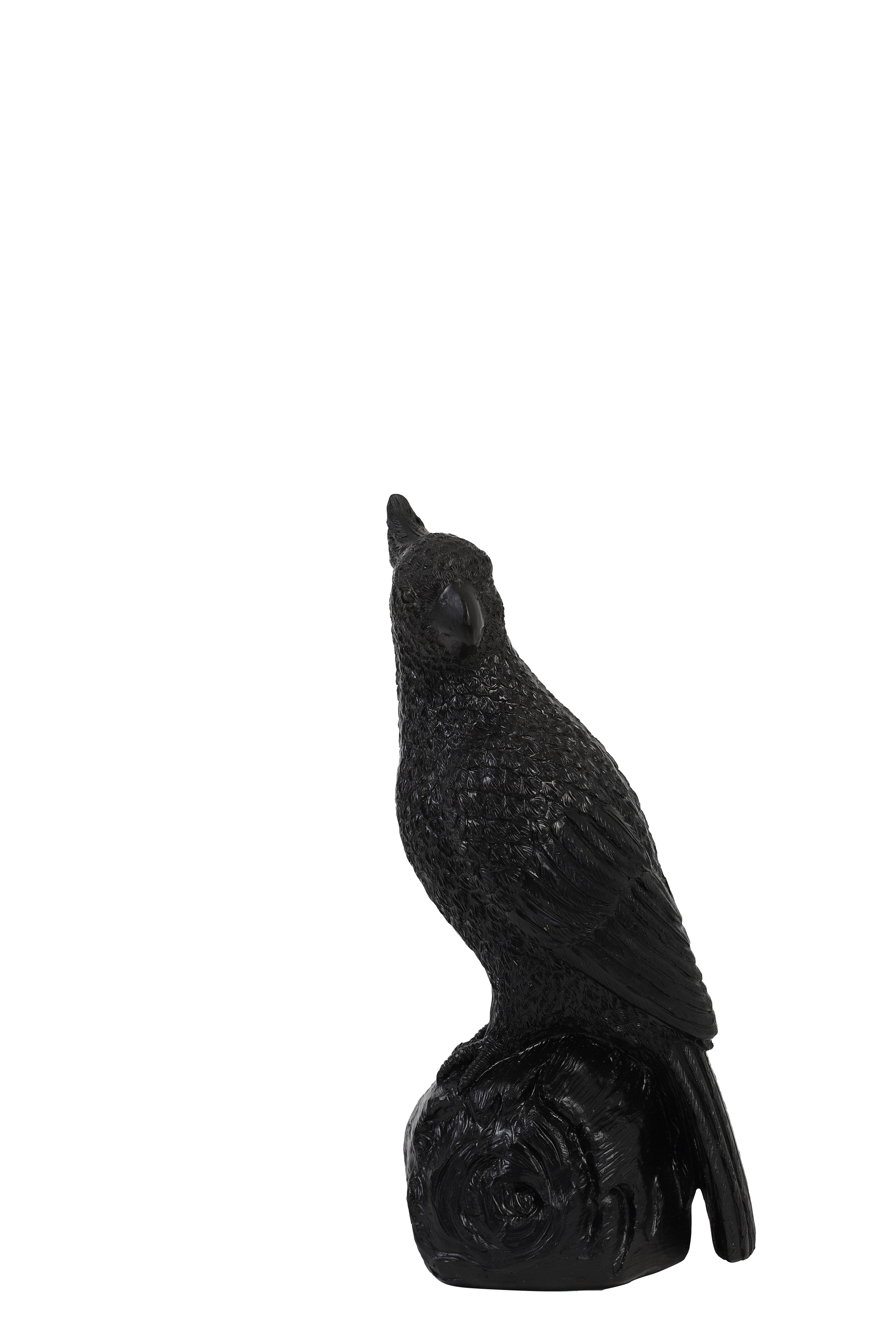 Light & Living Ornament PARROT in Schwarz