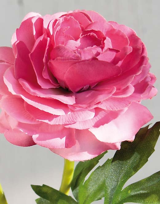 Ranunkel 32cm 32 in pink