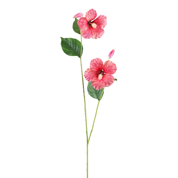 Gasper Hibiscus, 110 cm, coralle in Farbe Koralle, Hibiskus, Blüte, Stängel, Blätter, Pflanze