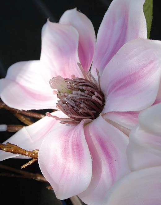 Andreas Magnolienblütenzweig 80cm 3026515A3 in pink // Magnolien Blütenzweig // pink // Höhe ca. 80 cm