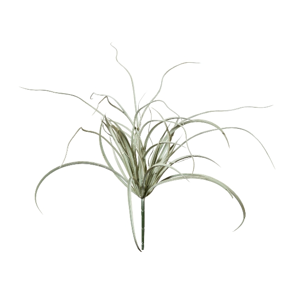 Seegrasbusch 1 Poly 3017230-92 in Grau, pflanze, Dekorpflanze, Spinnenpflanze, grün, Blätter