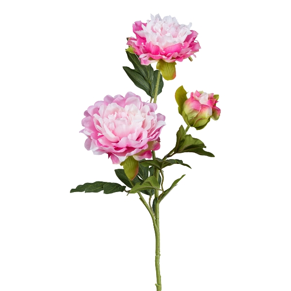 Gasper Peonie x 3, 63 cm, rosa in Farbe Rosa, Pfingstrose, Kunstblume, Stängel mit Blüten, rosa Blüte, grüne Blätter