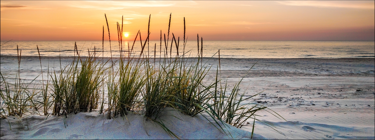 ProArt Glas-Art 80x30cm Lonely Dune ProArt Glas-Art 80x30cm Lonely Dune, Natur, Draußen, Himmel, Strand, Schilf