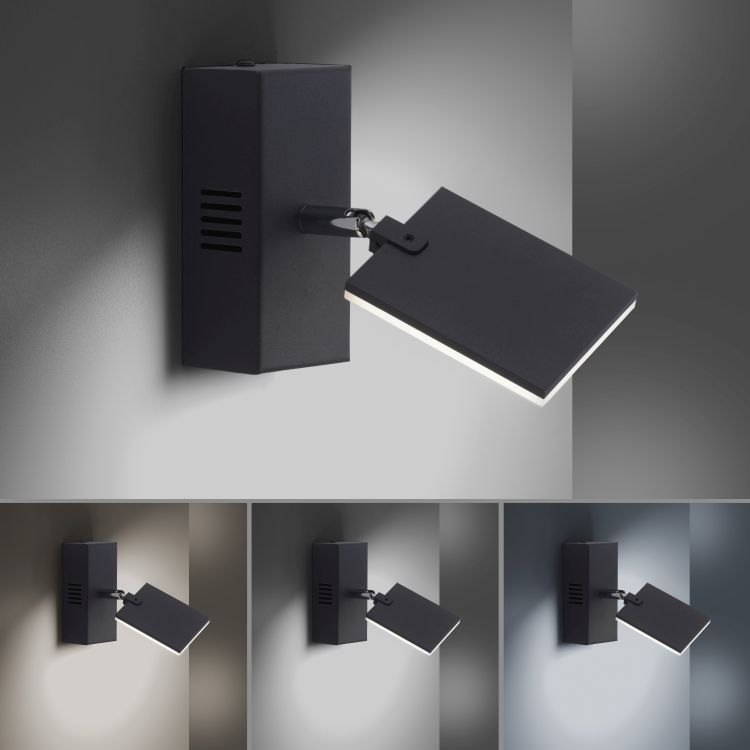 Paul Neuhaus LED-Wandleuchte PURE MIRA 1-flammig in Farbe schwarz