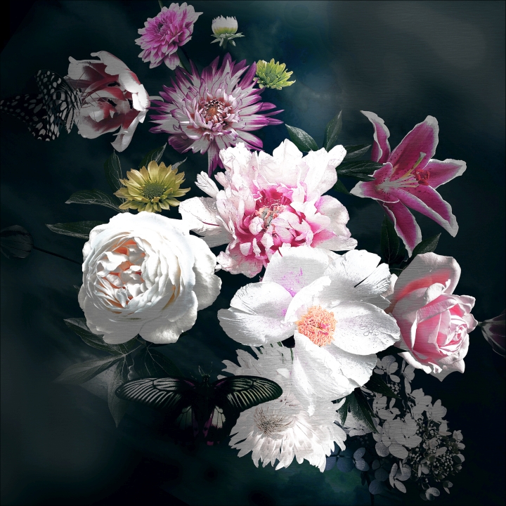 ProArt Alu-Art 50x50cm Baroque Roses IV