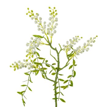 Gasper Mimosen-Hängezweig in Farbe Weiß