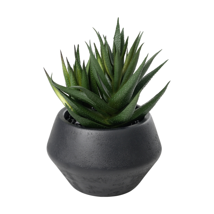 Eglo Kunstpflanze YULARA in Farbe grün, schwarz, Pflanze, Aloe