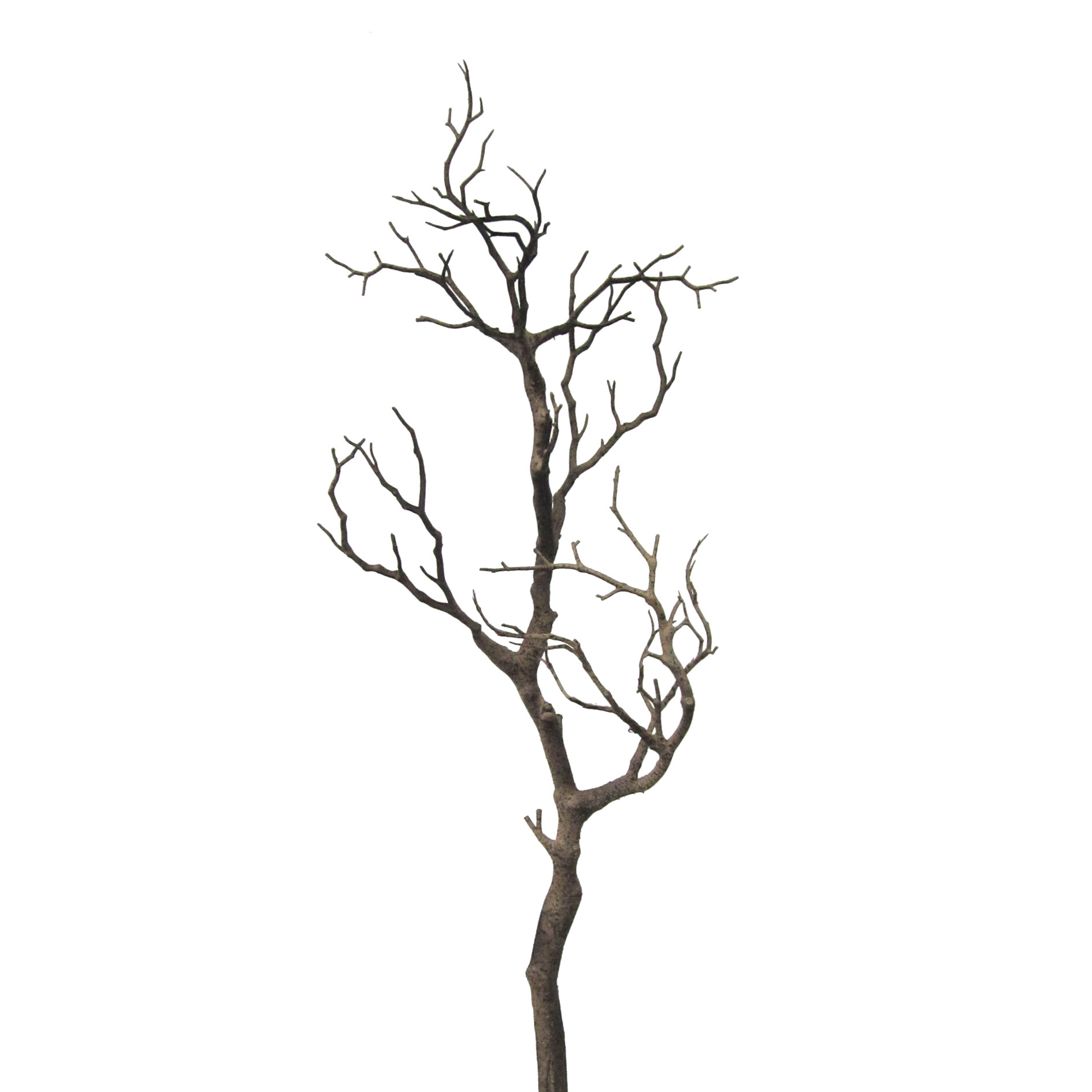 Dekoast 73cm MISCHA in Beige Gasper Dekoast 73cm MISCHA H ca.73cm in natur, Pflanze, Baum, Holz, Kunst