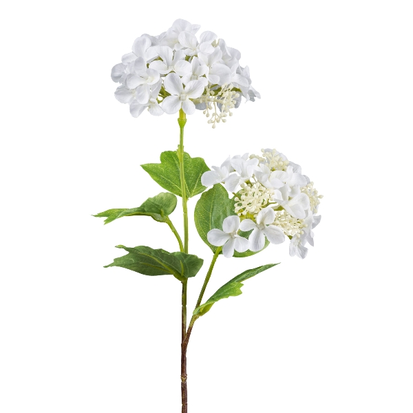 Gasper Schneeballzweig, 48 cm, weiß in Farbe Weiß, Blumen, Limonen?, Hortensie, weiße Blüten
