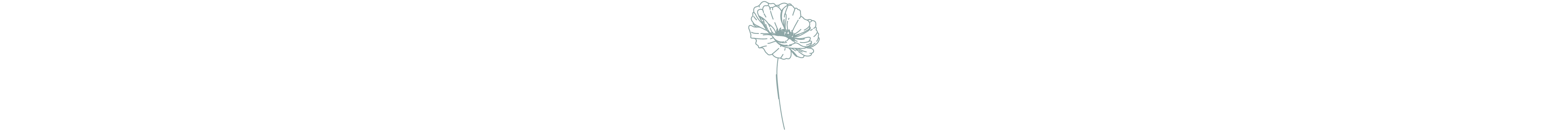 t-shirt, Rundhals, Kurzarm, uni, Knit, blank, image, pflanze, blume, topfpflanze
