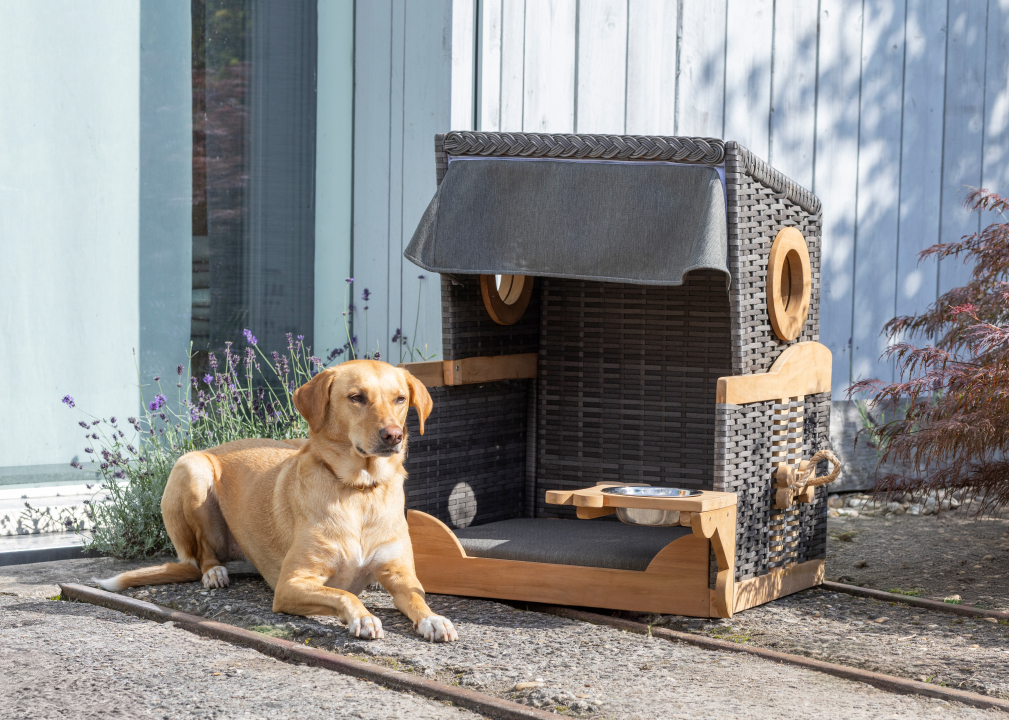 Hundestrandkorb in Des. 464, Holzbullaugen