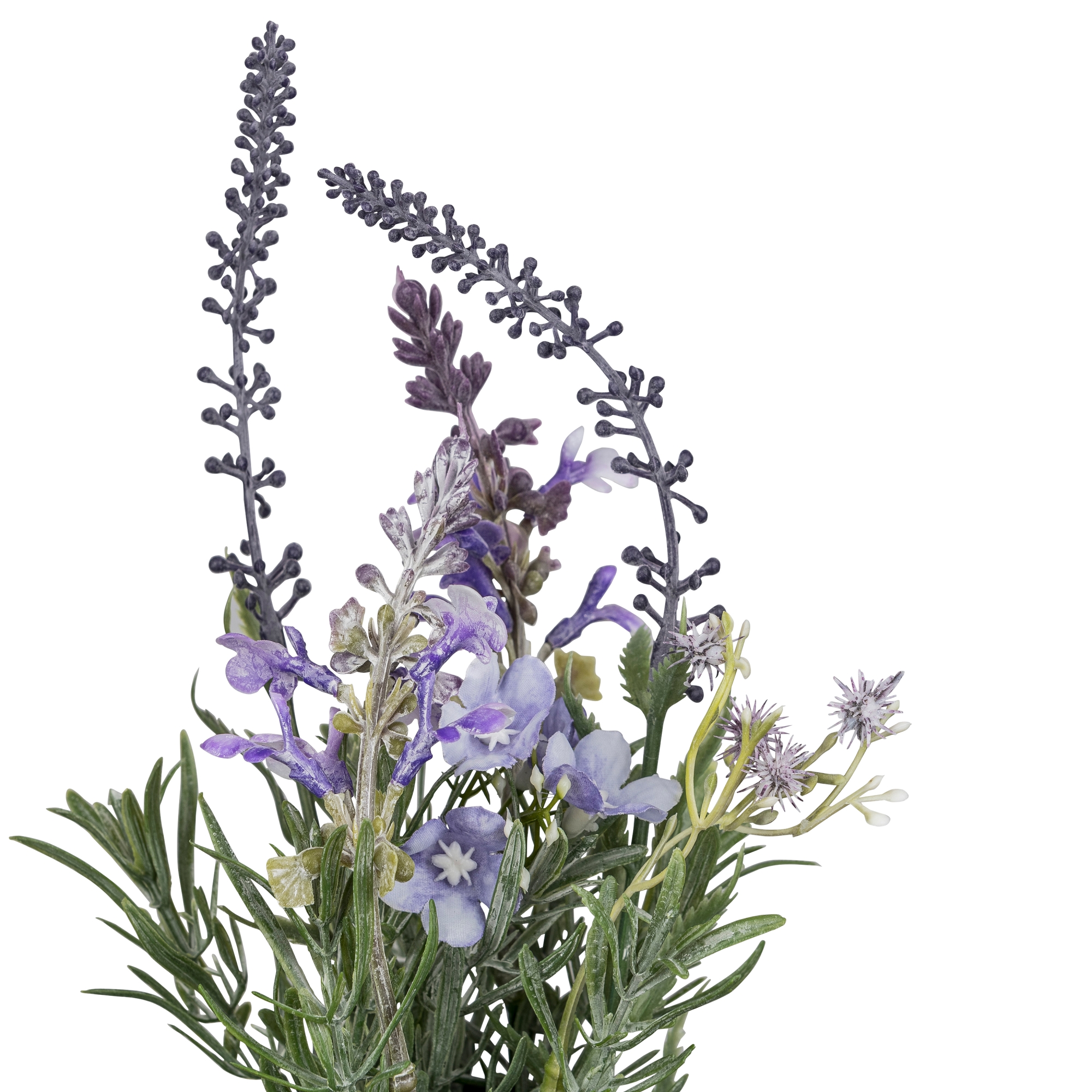 Gasper Blütentöpfchen Mix, in Farbe Lila, Lavendelstrauß, Kräuterpflanze, Blütenstrauß, Lavendelblüten, Lila Pflanze