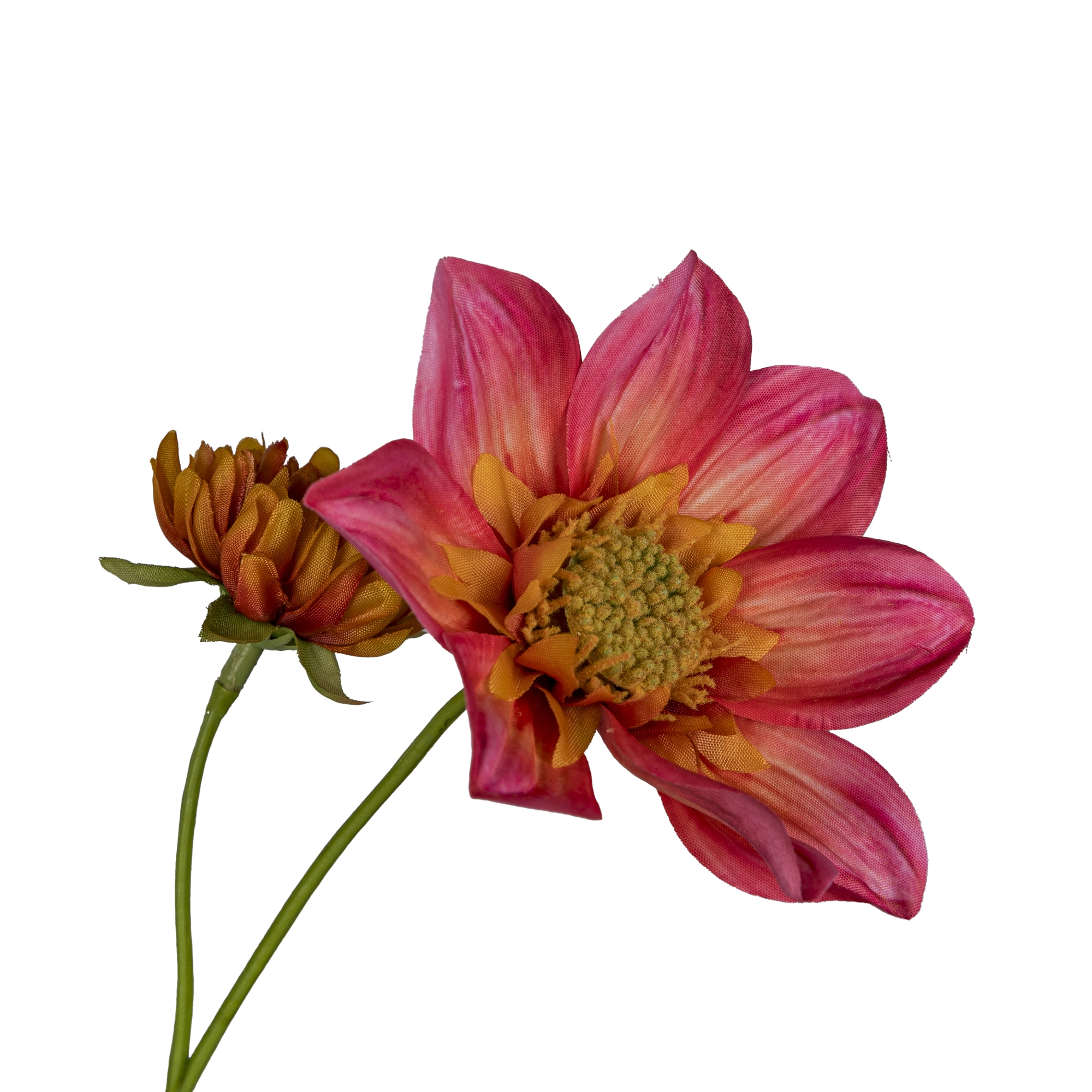 Gasper Dahlie, 107cm,pink in Farbe Pink, blume, dahlie, pink, orange-center, strauß