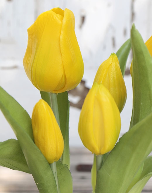 Andreas Tulpentopf, 5-f, 25cm, RT 2947330A3 in Real Touch, gelb Tulpentopf, 5-f, 25cm, RT