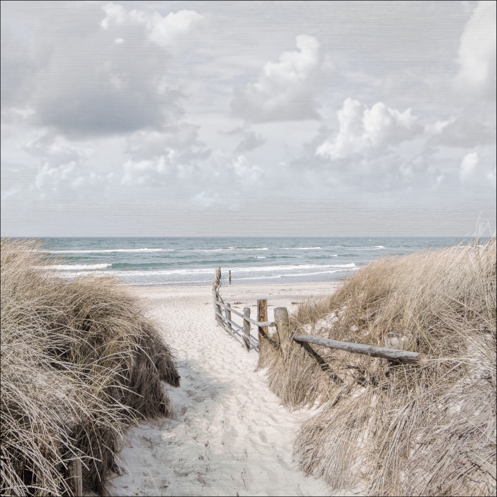 ProArt Alu-Art 98x98cm Way To Sea II ProArt Alu-Art 98x98cm Way To Sea II