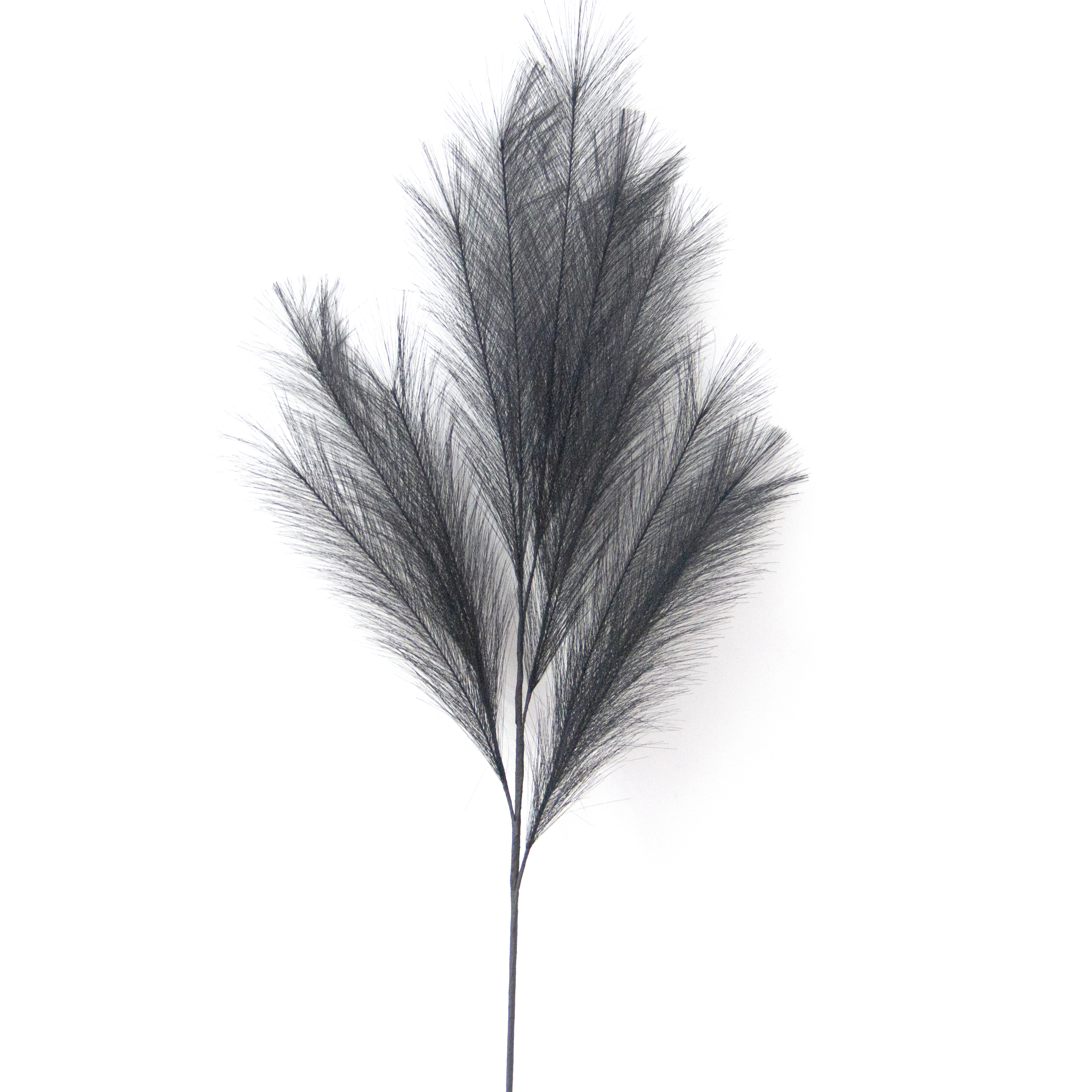 Flower Manufaktur Pampaswedel ca. 110cm in Farbe Schwarz/Silber