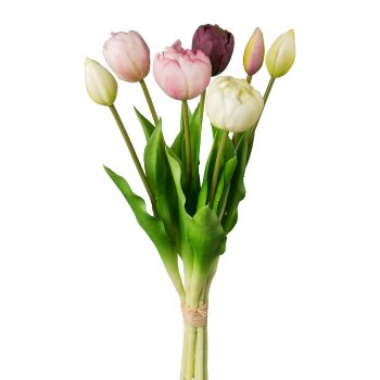 Gasper Gefüllte Tulpen 7er Bund in Farbe Rosa Mix