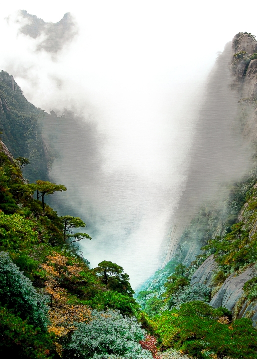 ProArt PRO ART Alu-Art 70x100cm Foggy Mountain Forest I