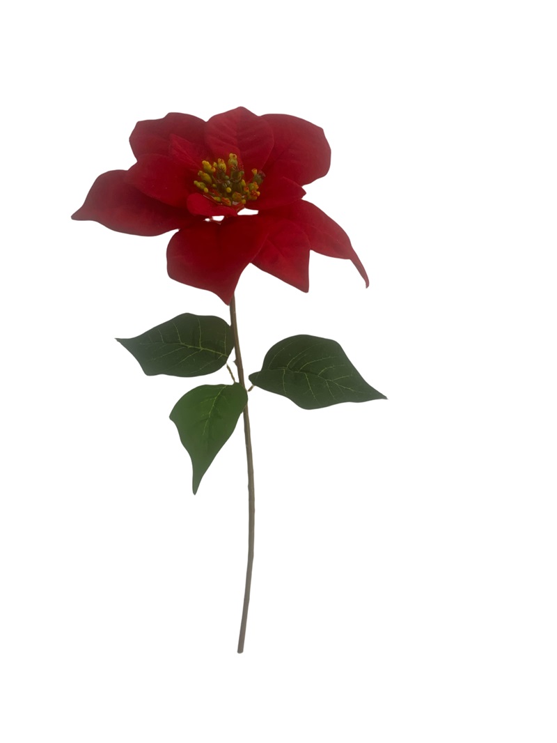 Flower Manufaktur Weihnachtsstern ca. 50cm in Farbe Rot, Eine andere, Blume, Blatt, Blütenblatt, Rose