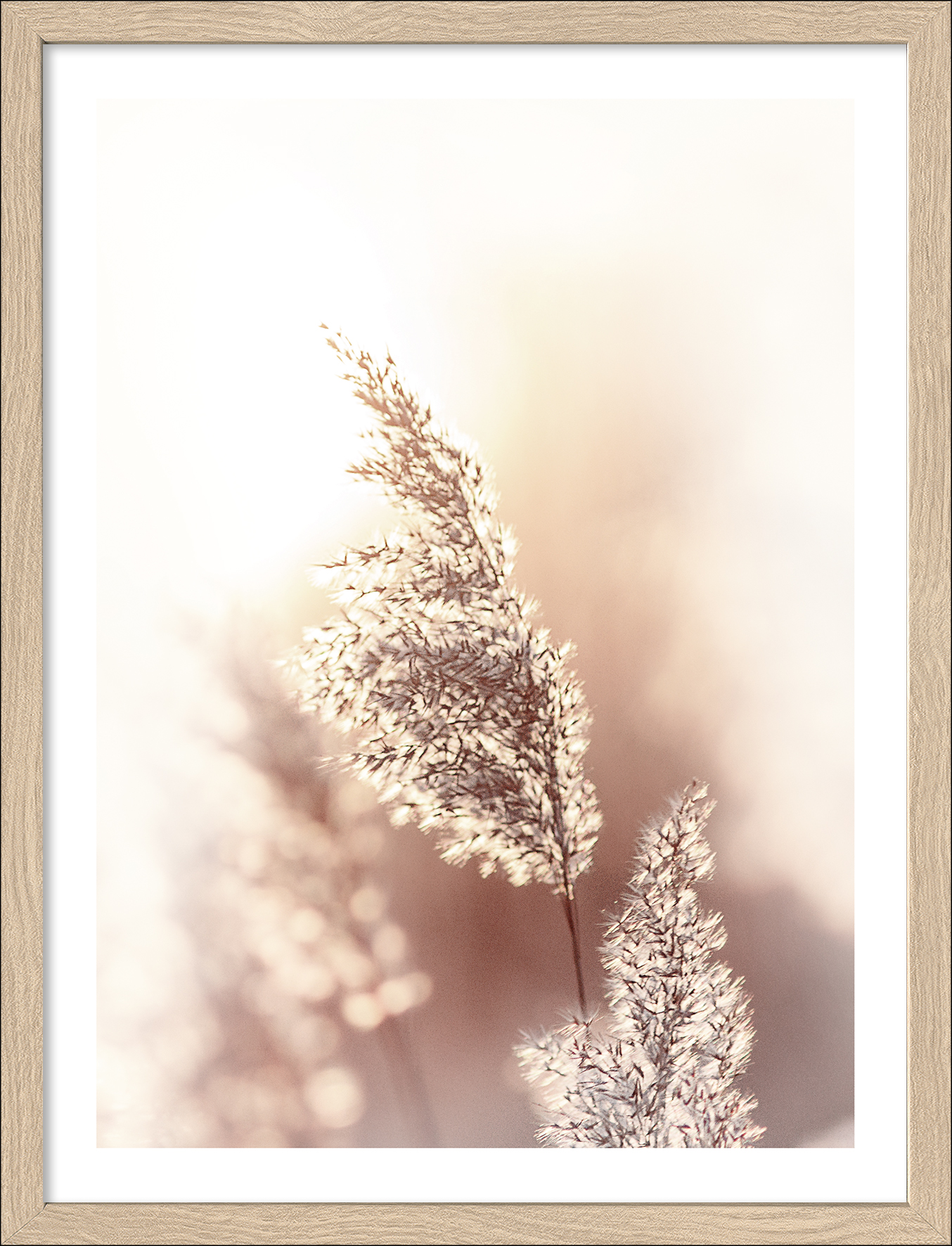 ProArt Framed-Art Slim Scandic 33x43cm Dried Fiber