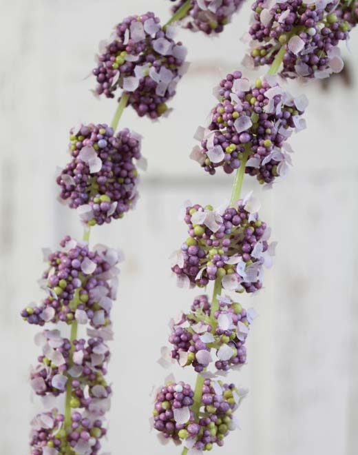  // Amaranthus Zweig // violett-grün // Höhe ca. 70 cm // Länge ca. 105 cm