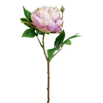 Peonie 45cm pink 3023171-14 in Rosa / Pink Gasper Peonie in Farbe Pink